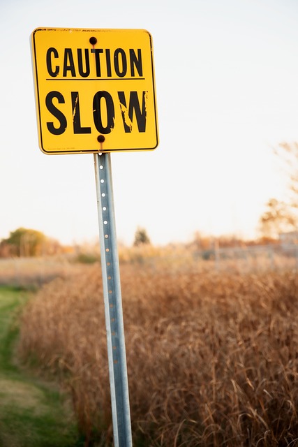 street sign, slow down, caution, safety, road sign, caution sign, yellow sign, traffic sign, attention, street, warning, road, sign, symbol, slow down, slow down, slow down, slow down, slow down, caution sign